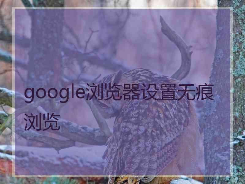 google浏览器设置无痕浏览