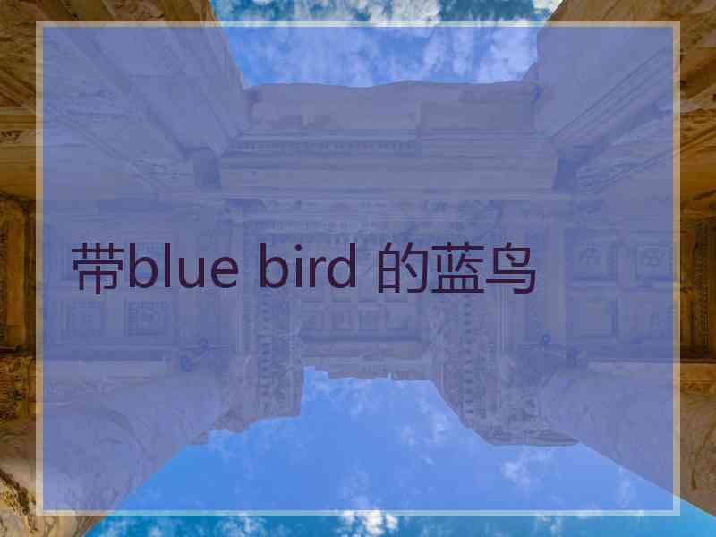 带blue bird 的蓝鸟