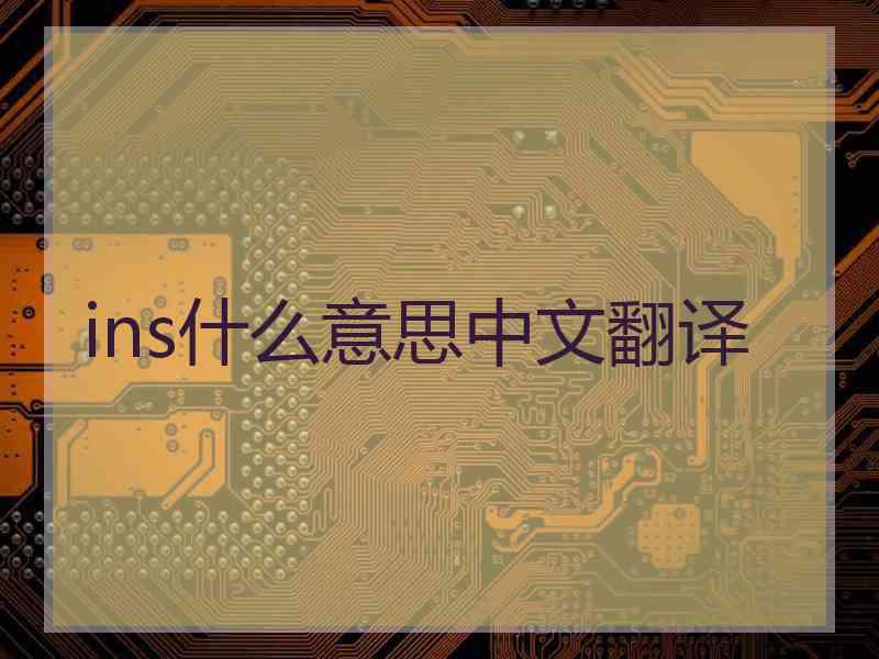 ins什么意思中文翻译