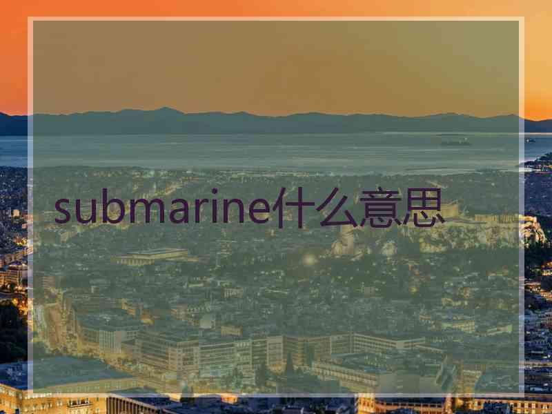 submarine什么意思