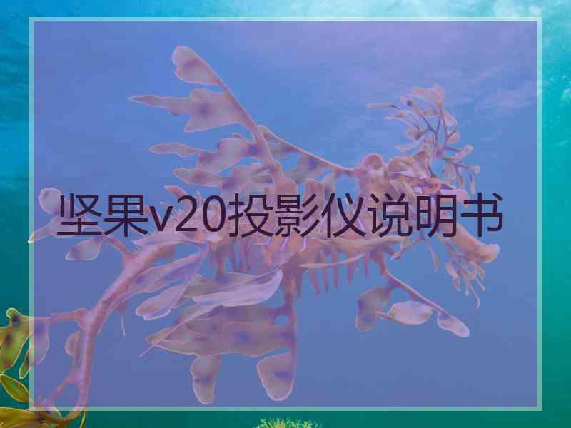 坚果v20投影仪说明书