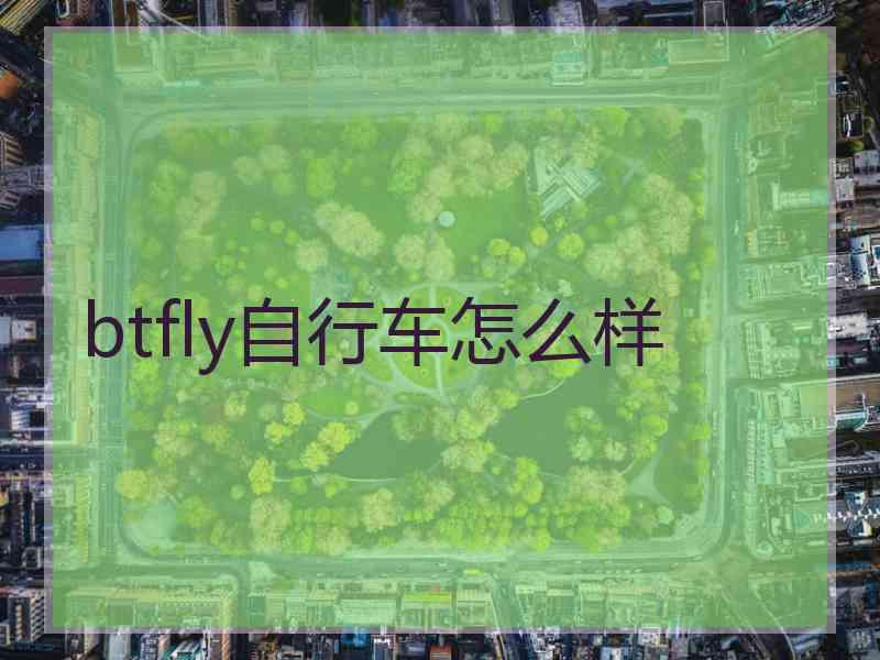 btfly自行车怎么样