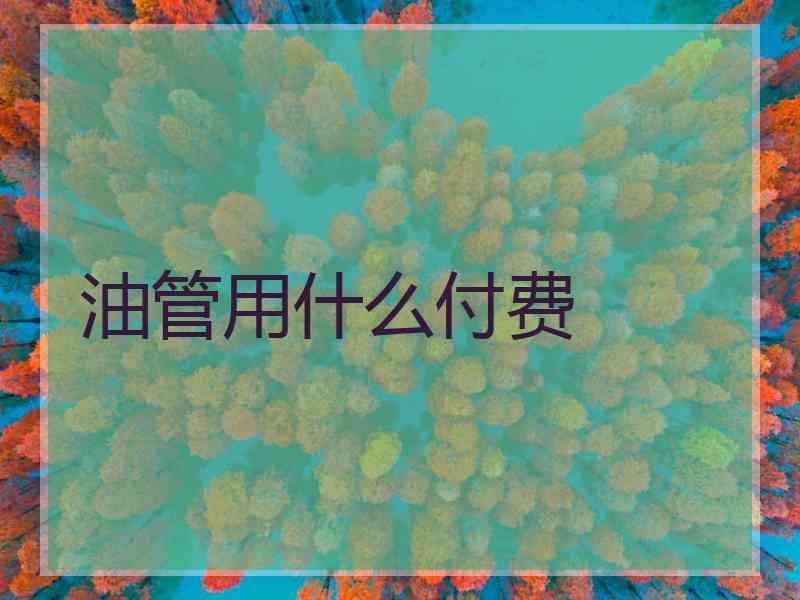 油管用什么付费