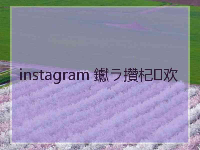 instagram 钀ラ攢杞欢