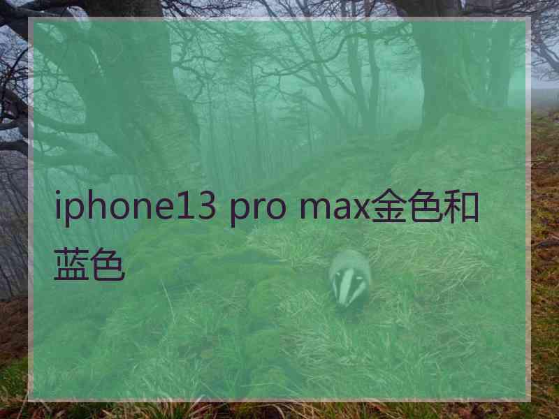 iphone13 pro max金色和蓝色