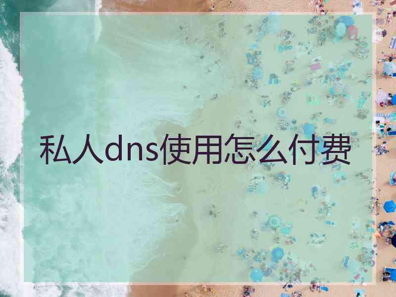 私人dns使用怎么付费