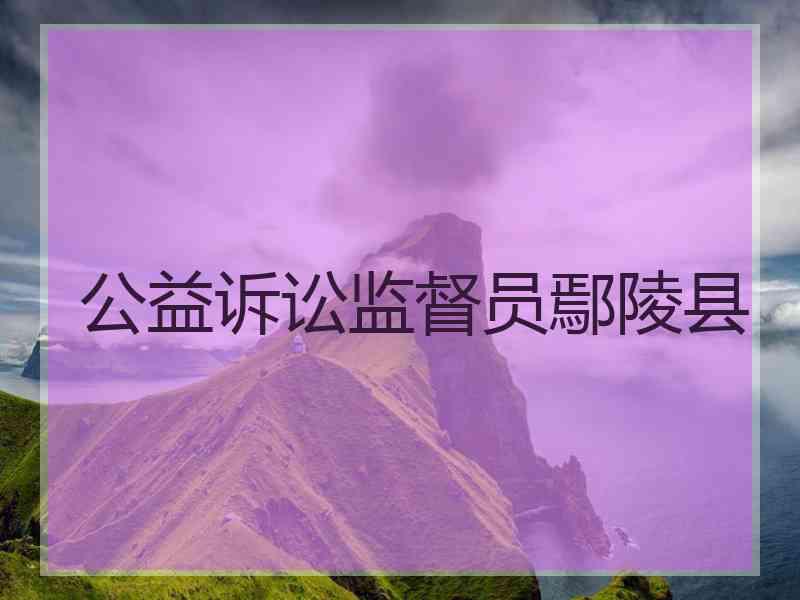 公益诉讼监督员鄢陵县