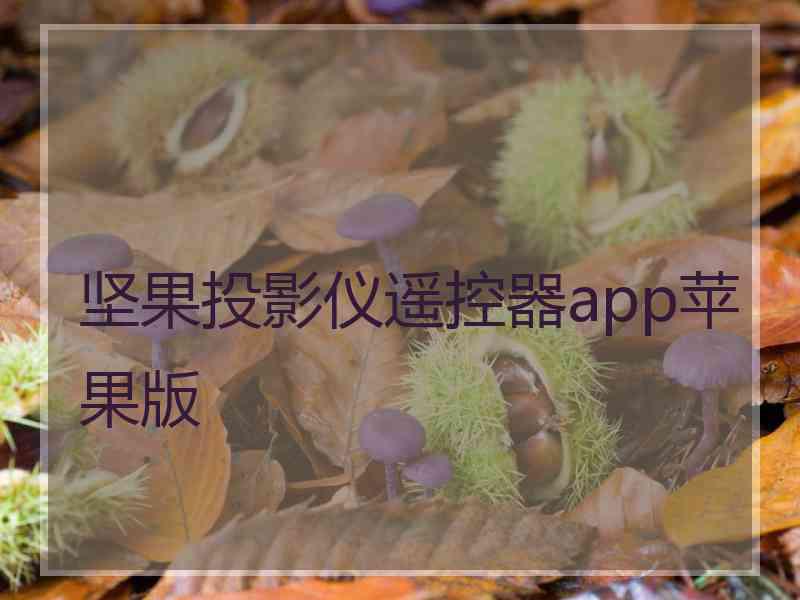 坚果投影仪遥控器app苹果版