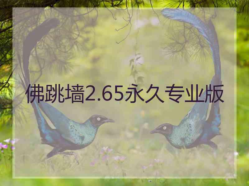 佛跳墙2.65永久专业版