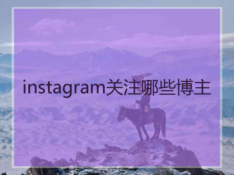 instagram关注哪些博主