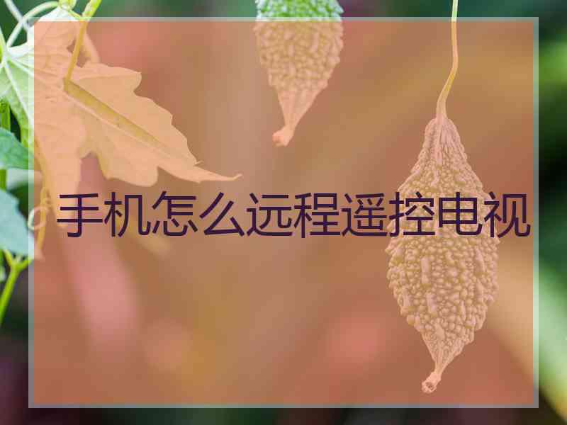 手机怎么远程遥控电视