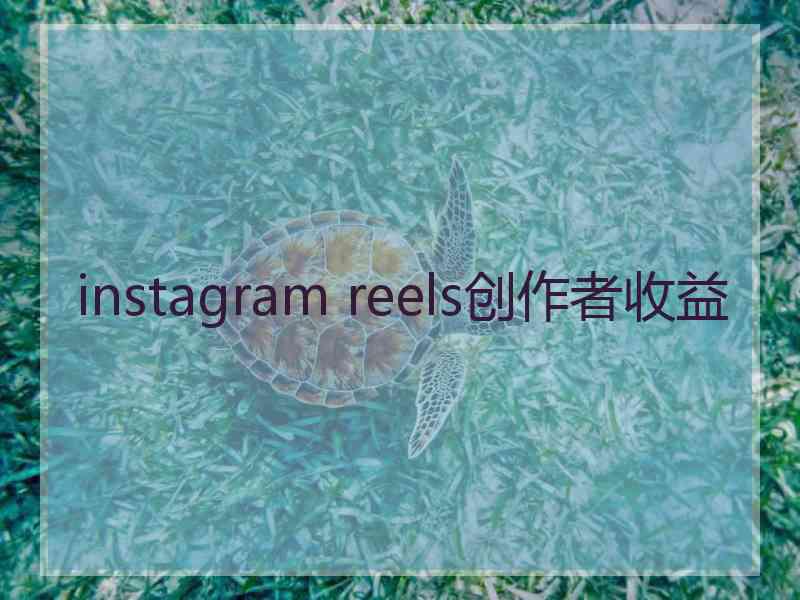 instagram reels创作者收益