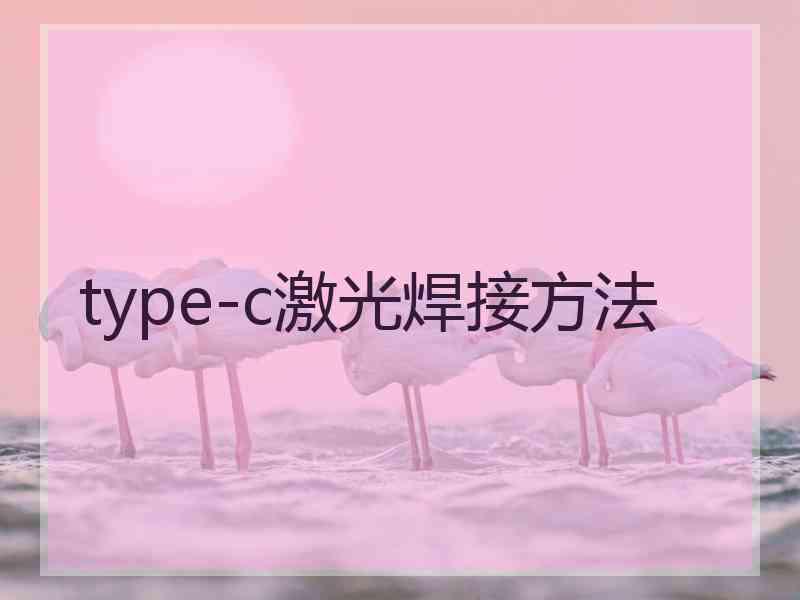 type-c激光焊接方法