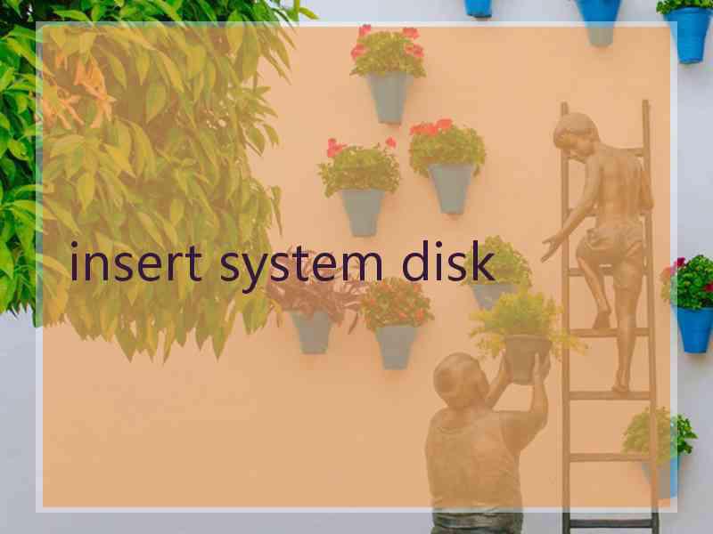 insert system disk