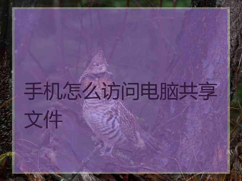 手机怎么访问电脑共享文件