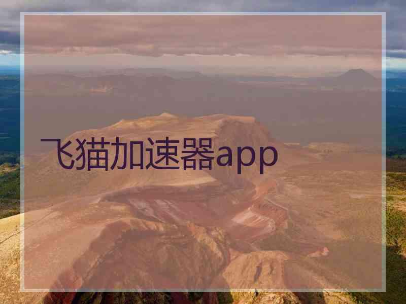 飞猫加速器app