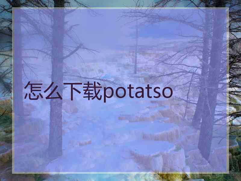 怎么下载potatso