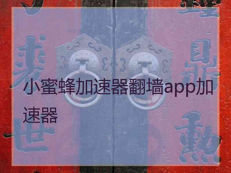 小蜜蜂加速器翻墙app加速器