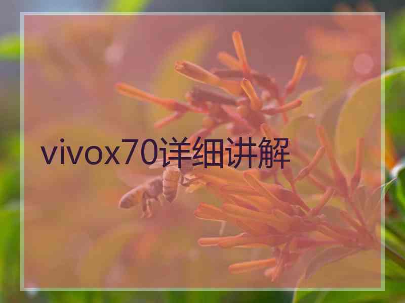 vivox70详细讲解