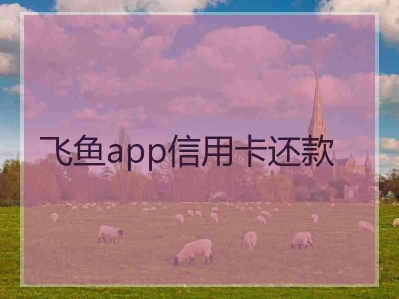 飞鱼app信用卡还款