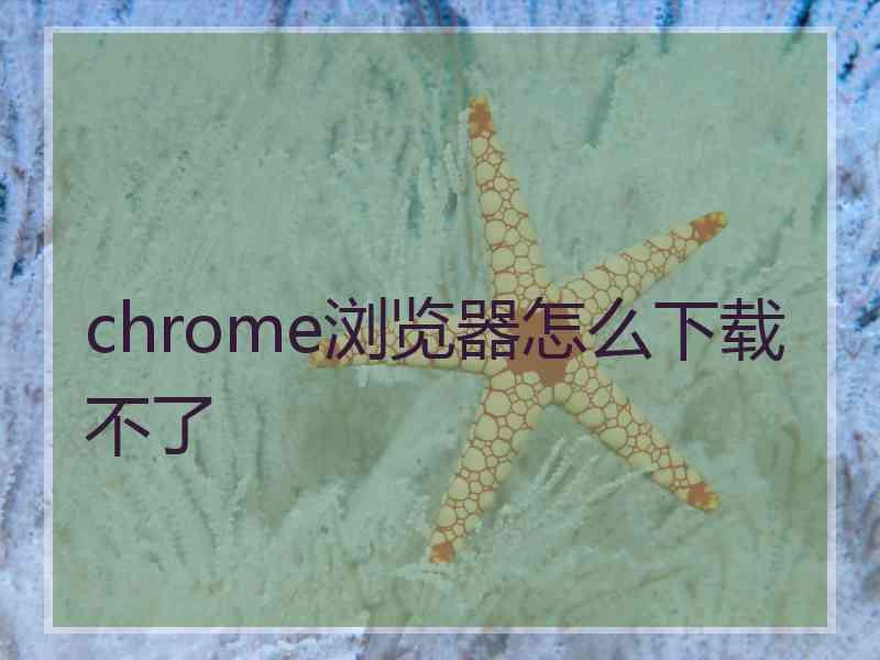 chrome浏览器怎么下载不了