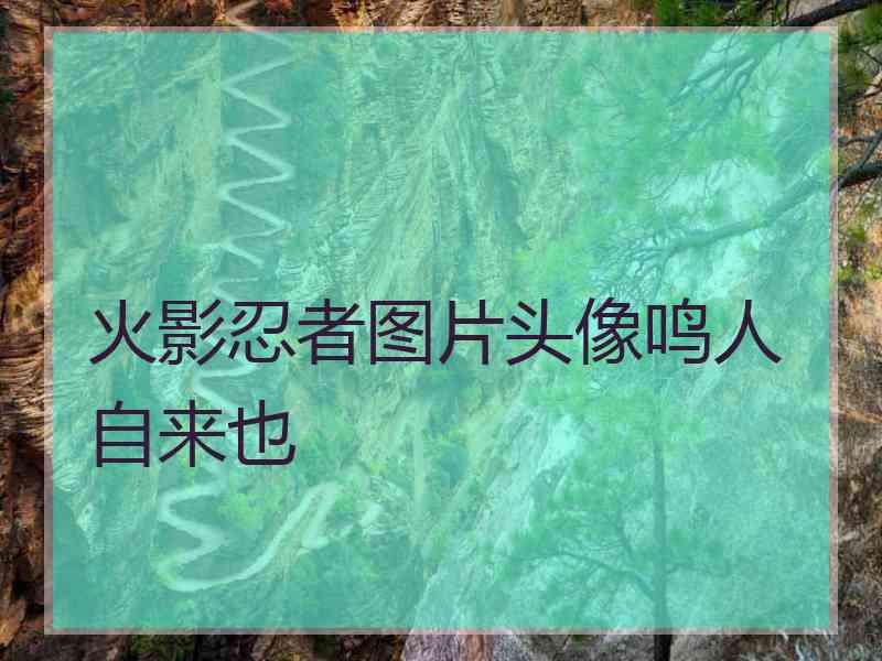 火影忍者图片头像鸣人自来也