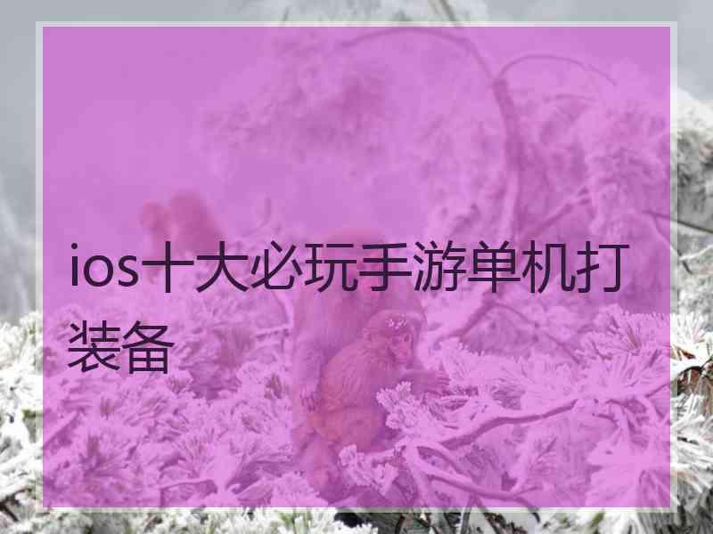 ios十大必玩手游单机打装备