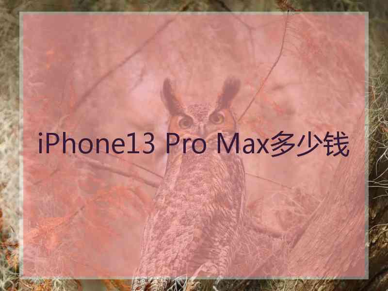 iPhone13 Pro Max多少钱