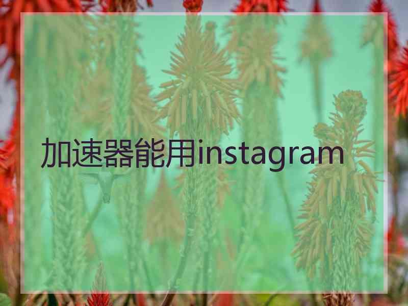 加速器能用instagram