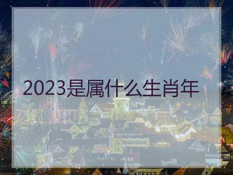 2023是属什么生肖年