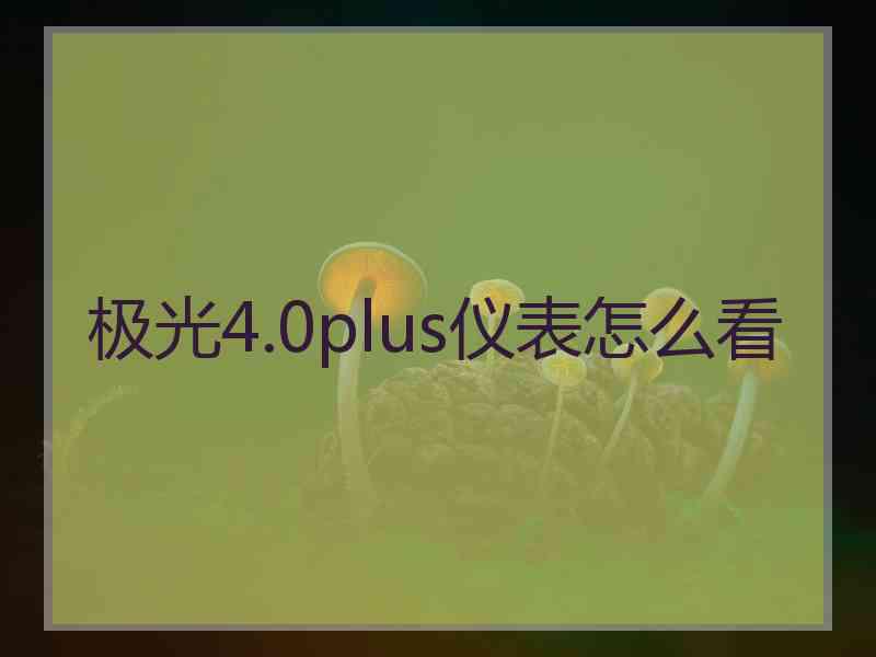 极光4.0plus仪表怎么看