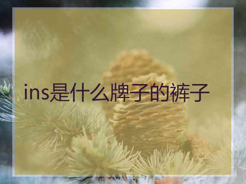 ins是什么牌子的裤子