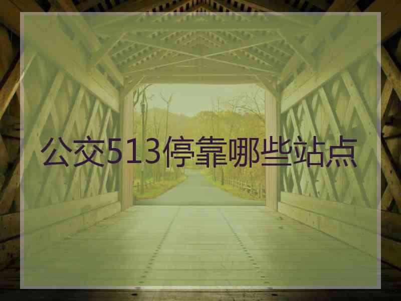 公交513停靠哪些站点