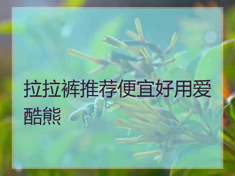 拉拉裤推荐便宜好用爱酷熊