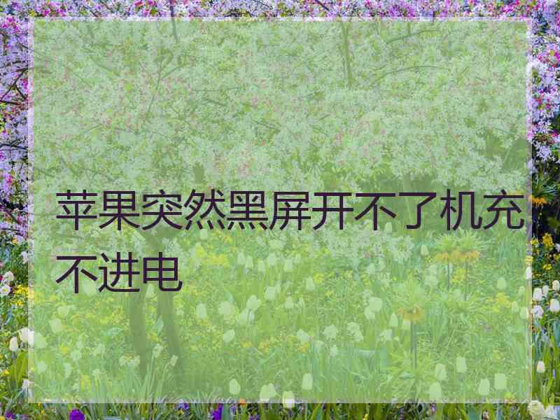 苹果突然黑屏开不了机充不进电