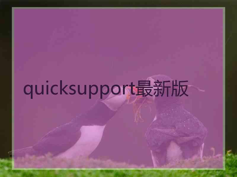 quicksupport最新版