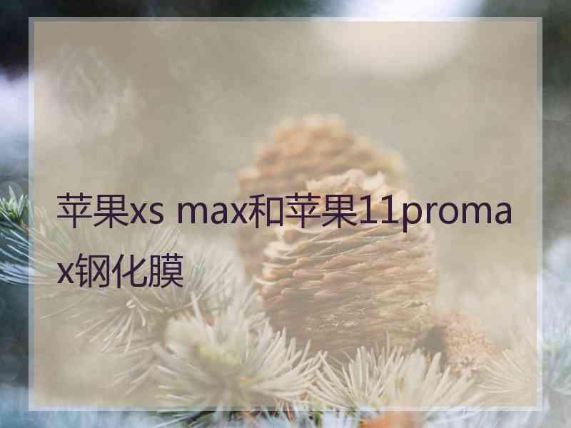 苹果xs max和苹果11promax钢化膜