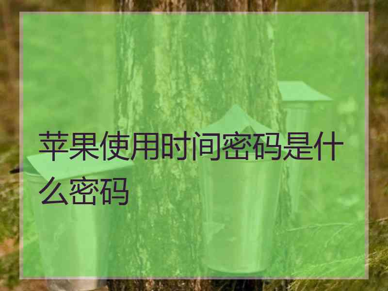 苹果使用时间密码是什么密码