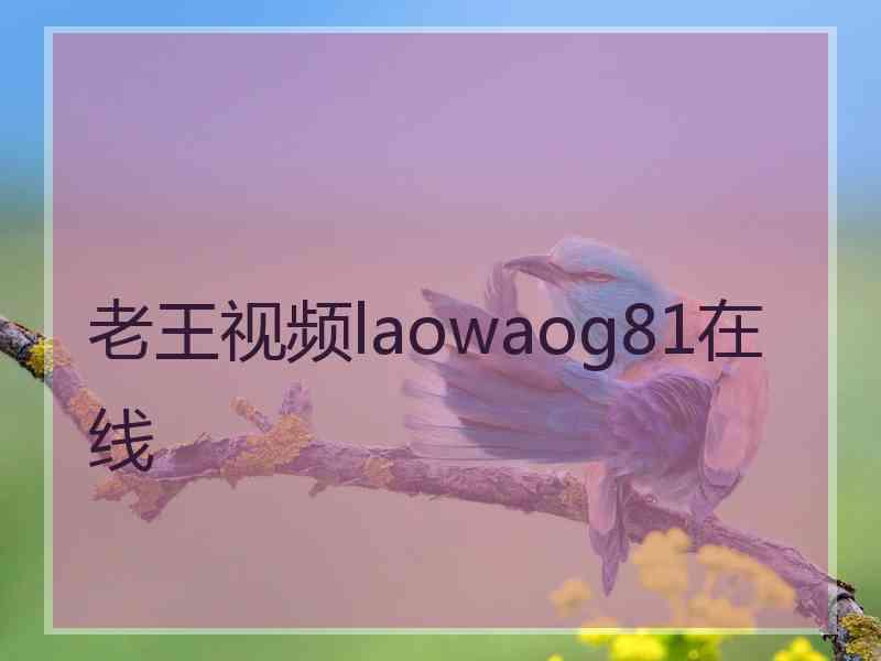 老王视频laowaog81在线