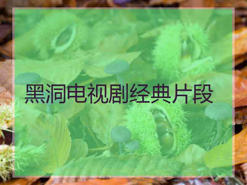 黑洞电视剧经典片段