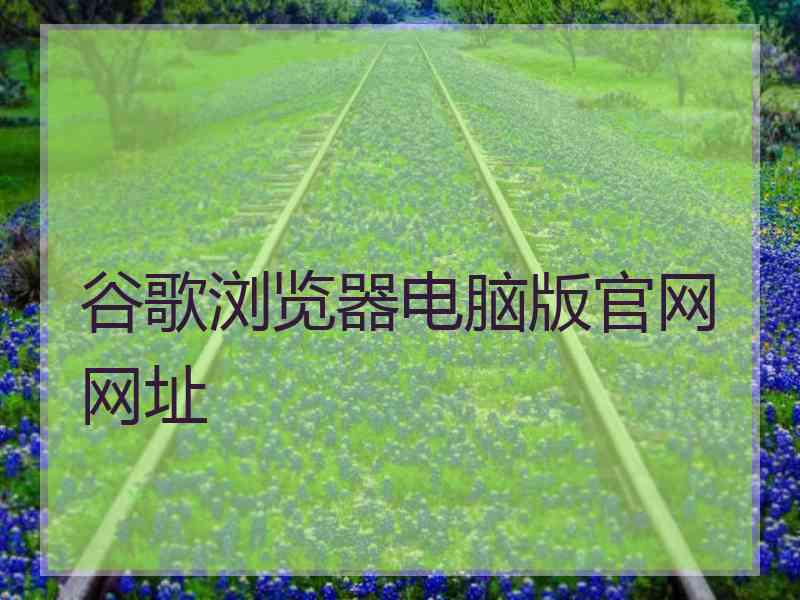 谷歌浏览器电脑版官网网址