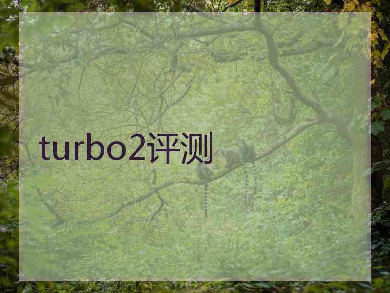 turbo2评测