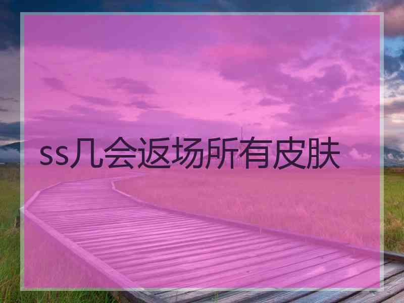 ss几会返场所有皮肤