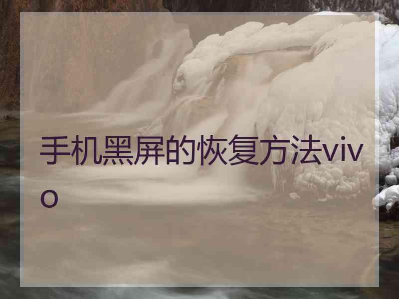 手机黑屏的恢复方法vivo