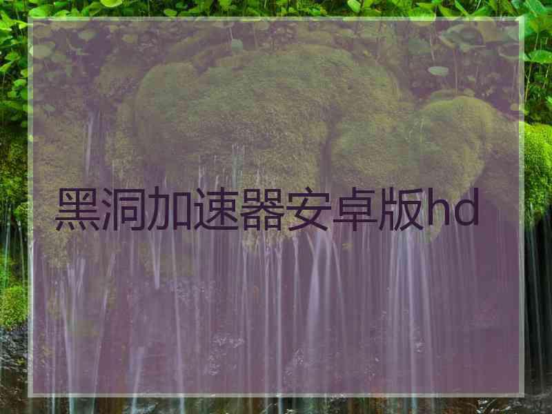 黑洞加速器安卓版hd