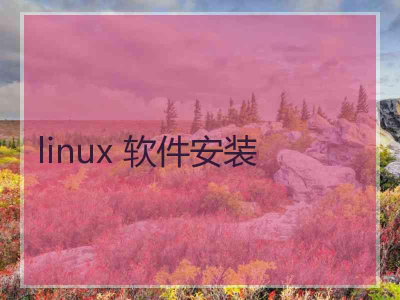 linux 软件安装