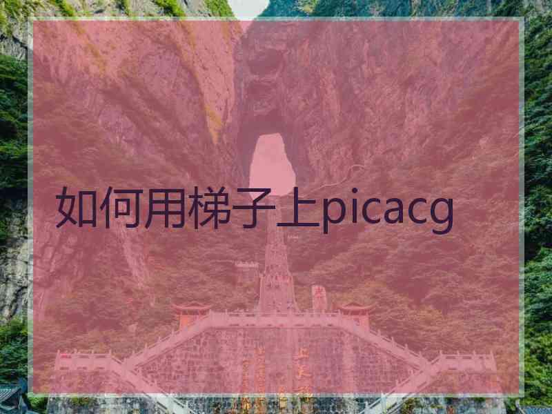 如何用梯子上picacg