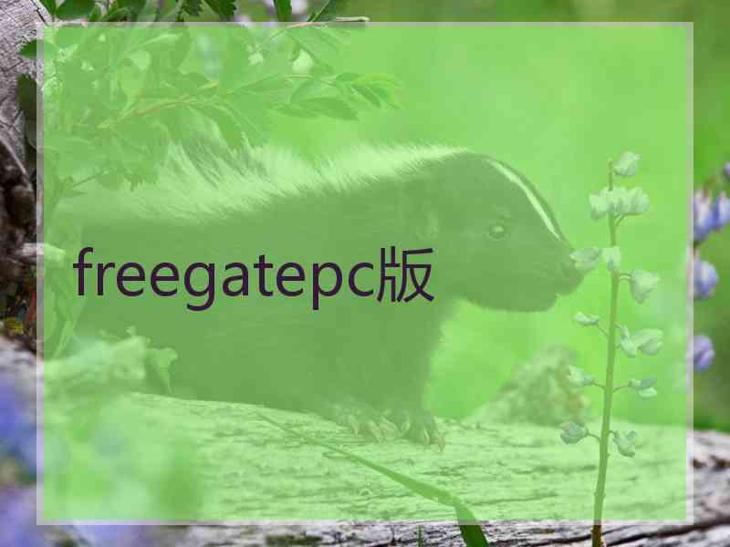 freegatepc版