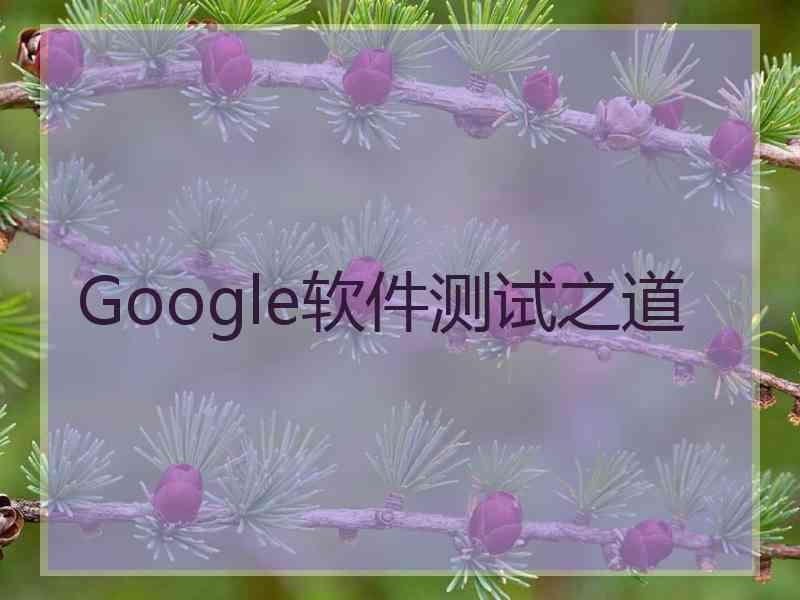 Google软件测试之道