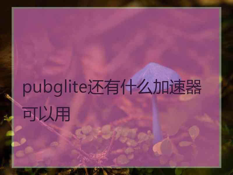 pubglite还有什么加速器可以用